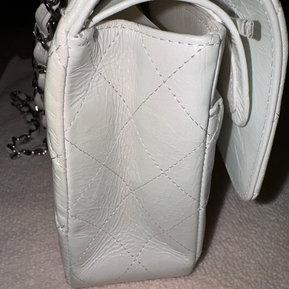 Chanel Medium Classic Double Flap Bag Quilted Iridescent Crumpled Calfskin - Picture 3 of 10